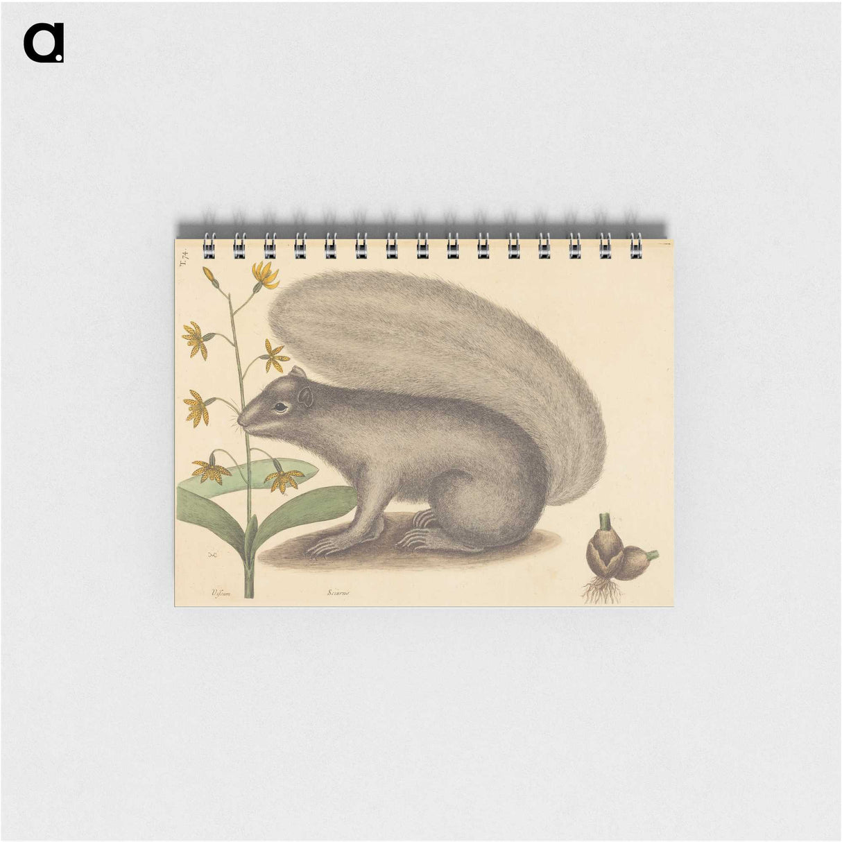 2-31_Mark-Catesby_memo