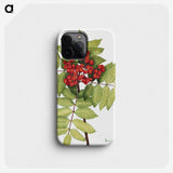 2-31_Mary-Vaux-Walcott_phone