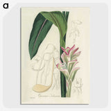 2-31_Medical-Botany_picture-crop