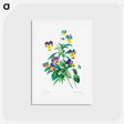 アートポストカード-Wild pansy - ピエール ジョゼフ ルドゥーテ Postcard.