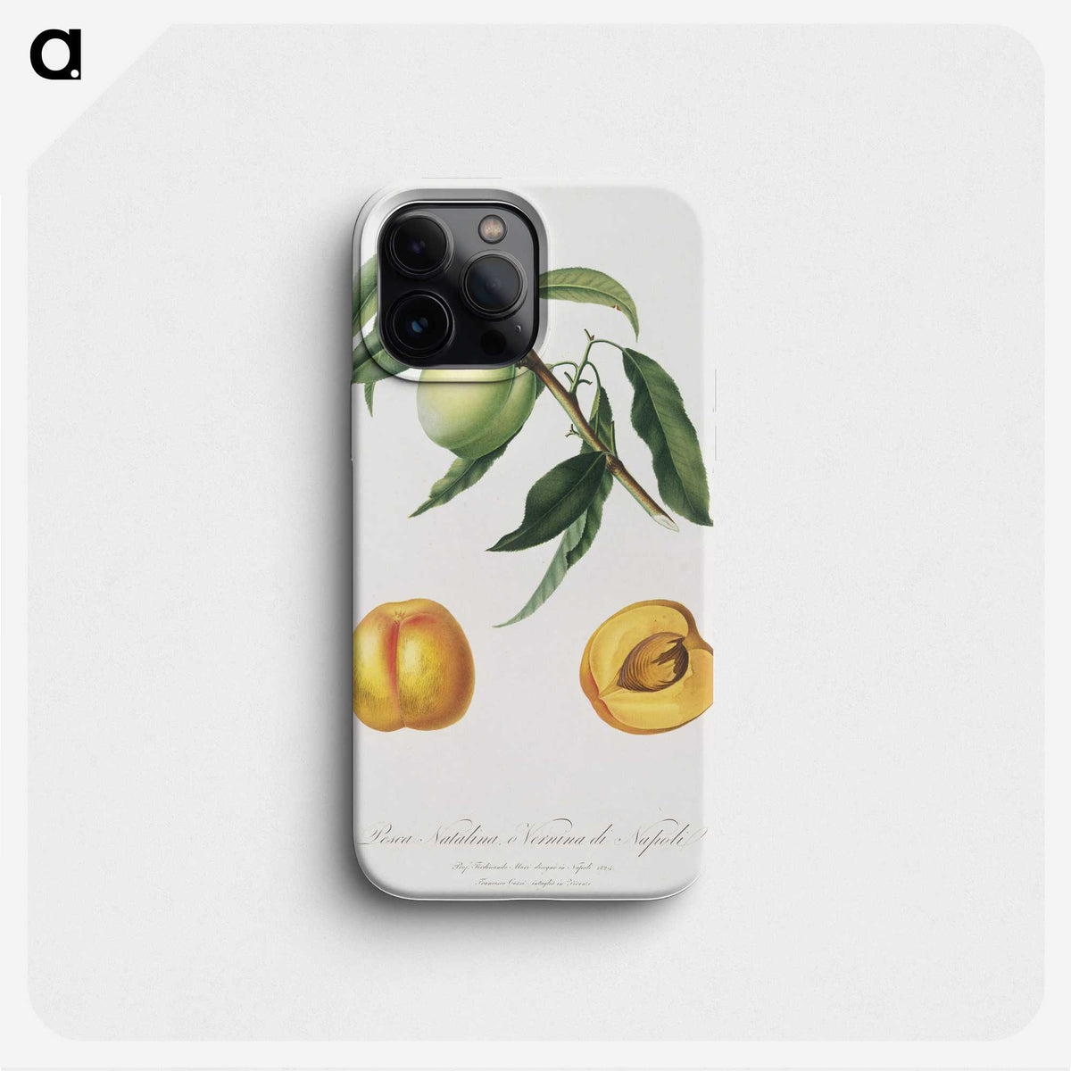 2-31_Pomona-Italiana_phone