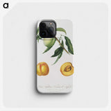2-31_Pomona-Italiana_phone