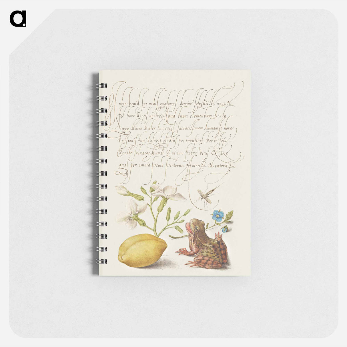 アートメモ帳-Gillyflower, Insect, Germander, Almond, and Frog from Mira Calligraphiae Monumenta
 - 書道のお手本 Memo.