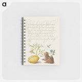 アートメモ帳-Gillyflower, Insect, Germander, Almond, and Frog from Mira Calligraphiae Monumenta
 - 書道のお手本 Memo.