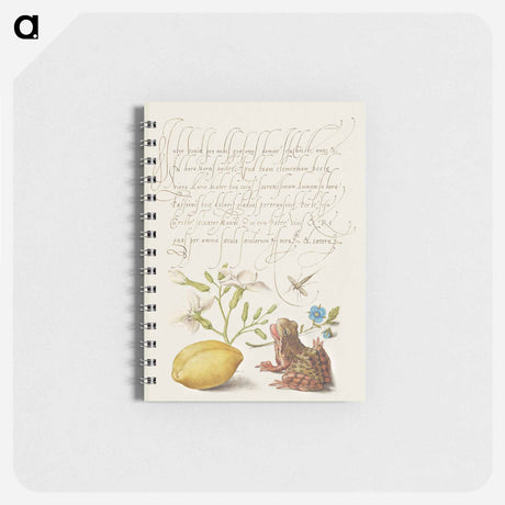 アートメモ帳-Gillyflower, Insect, Germander, Almond, and Frog from Mira Calligraphiae Monumenta
 - 書道のお手本 Memo.