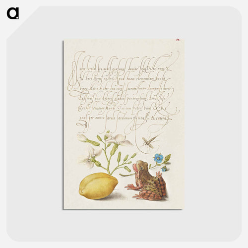 Gillyflower, Insect, Germander, Almond, and Frog from Mira Calligraphiae Monumenta
 - 書道のお手本 Postcard.