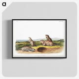 2-31_The-Viviparous-Quadrupeds_blk-crop