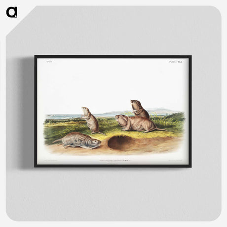 2-31_The-Viviparous-Quadrupeds_blk-crop