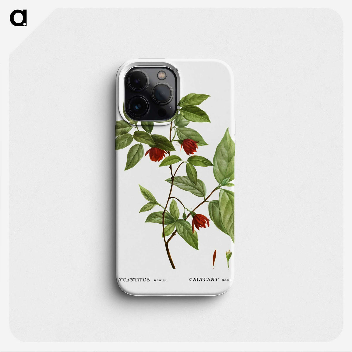 2-31_Treatise-on-Trees-and-Shrubs_phone