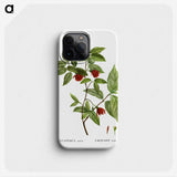 2-31_Treatise-on-Trees-and-Shrubs_phone