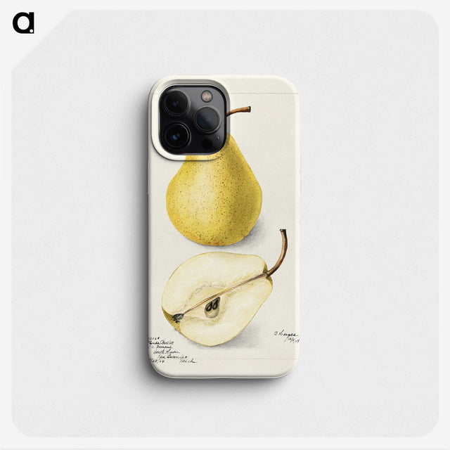 2-31_USDA-Watercolor-Fruit-Painting-Collection_phone
