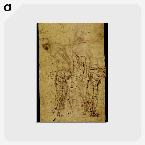 鞭打ち刑の準備のための習作 - アンドレア マンテーニャ Postcard.