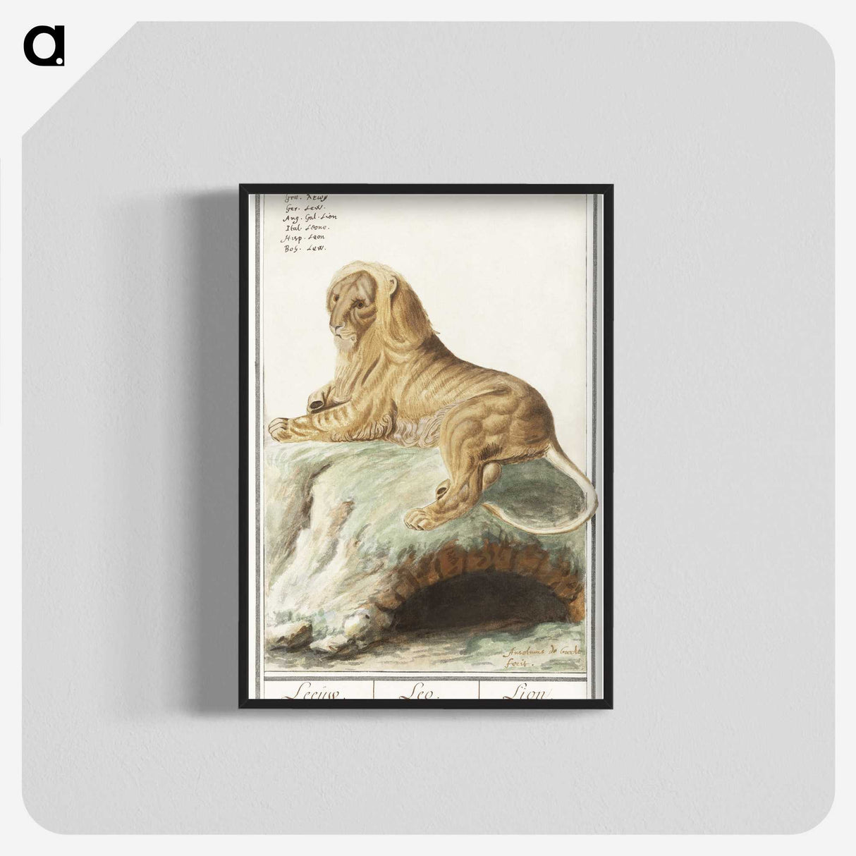 2-32_Anselmus-Boetius-de-Boodt_blk-crop