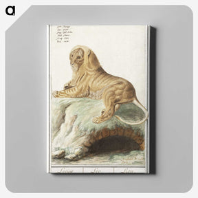 2-32_Anselmus-Boetius-de-Boodt_canvas