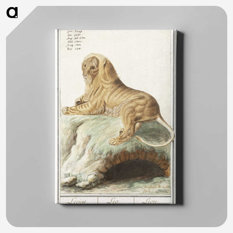2-32_Anselmus-Boetius-de-Boodt_canvas