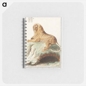 アートメモ帳-Lion - アンセルムス ボエティウス デ ブート Memo.