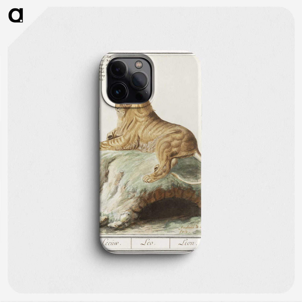 2-32_Anselmus-Boetius-de-Boodt_phone