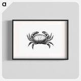 アートポスター-Crab Engraving
 - 大英図書館 Poster.