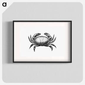アートポスター-Crab Engraving
 - 大英図書館 Poster.