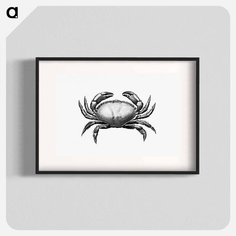 アートポスター-Crab Engraving
 - 大英図書館 Poster.