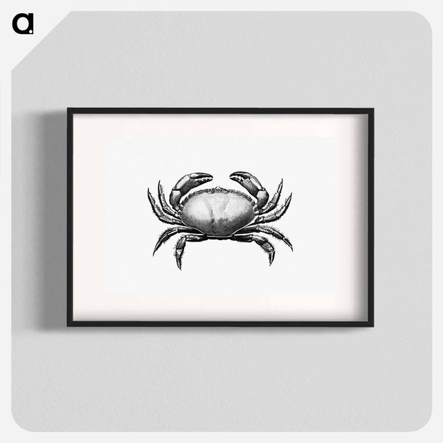 アートポスター-Crab Engraving
 - 大英図書館 Poster.