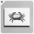 アートパネル-Crab Engraving
 - 大英図書館 Canvas.