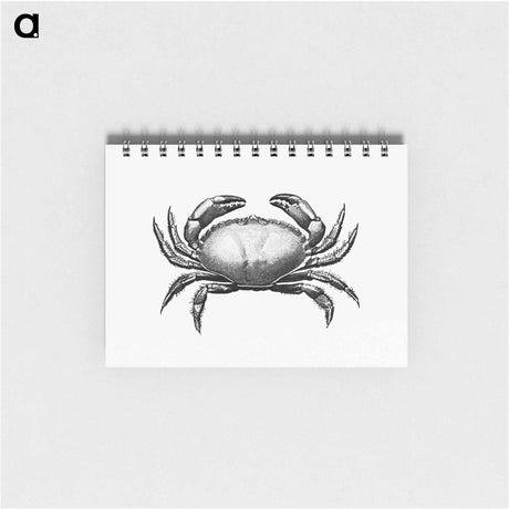 アートメモ帳-Crab Engraving
 - 大英図書館 Memo.