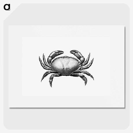 2-32_British-Library_picture