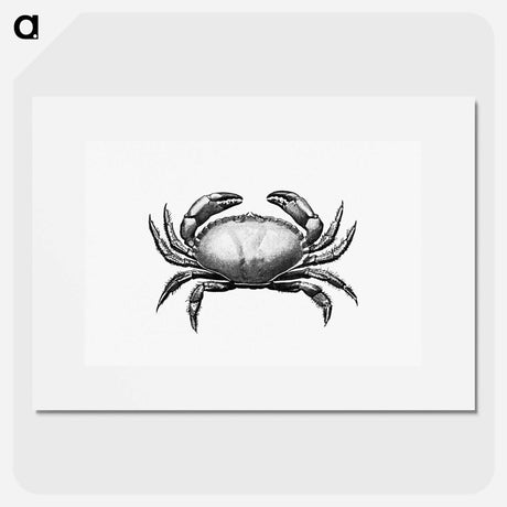 アートポスター-Crab Engraving
 - 大英図書館 Poster.
