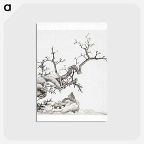 アートポストカード-Tree
 - クリーブランド美術館 Postcard.