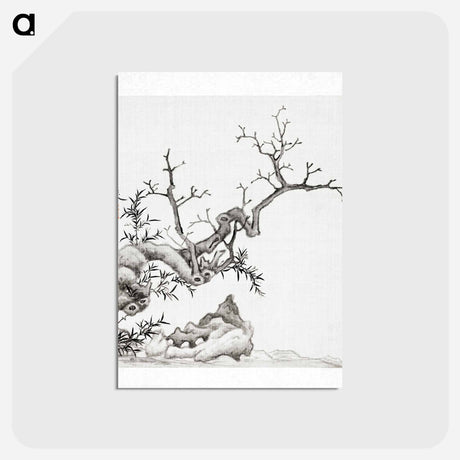 アートポストカード-Tree
 - クリーブランド美術館 Postcard.