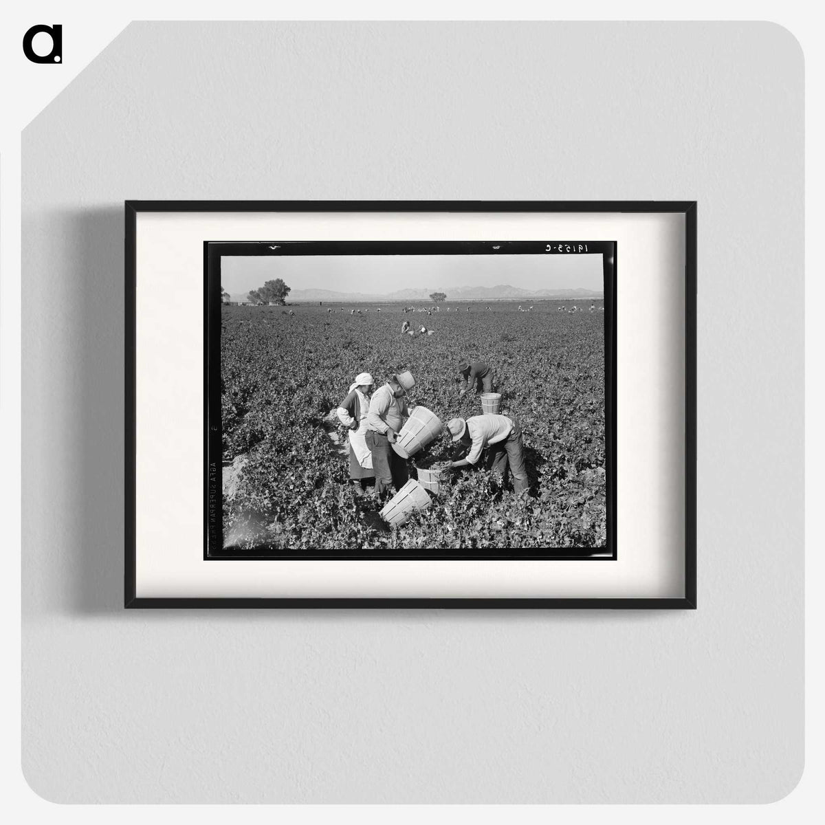 2-32_Dorothea-Lange_blk