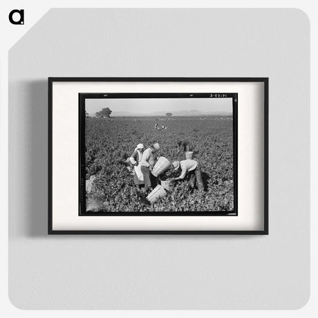 2-32_Dorothea-Lange_blk