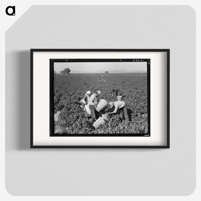 2-32_Dorothea-Lange_blk