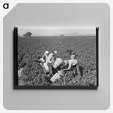 2-32_Dorothea-Lange_canvas