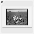 2-32_Dorothea-Lange_picture
