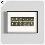 2-32_Eadweard-Muybridge_blk
