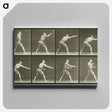 2-32_Eadweard-Muybridge_canvas