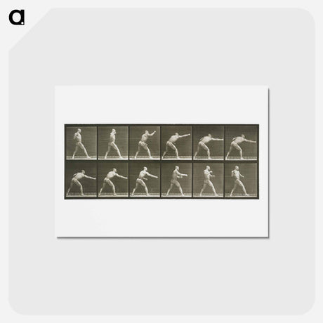 アートポストカード-Striking a Blow
 - エドワード マイブリッジ Postcard.