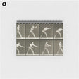 2-32_Eadweard-Muybridge_memo