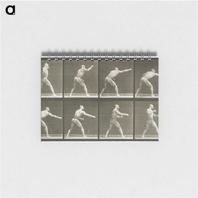 2-32_Eadweard-Muybridge_memo