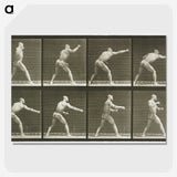 2-32_Eadweard-Muybridge_picture-crop