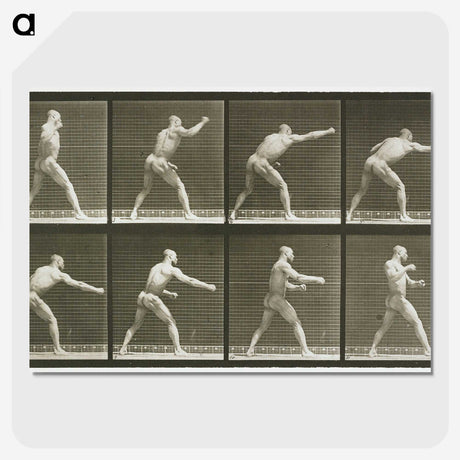 2-32_Eadweard-Muybridge_picture-crop