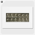 2-32_Eadweard-Muybridge_picture