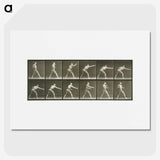 2-32_Eadweard-Muybridge_picture