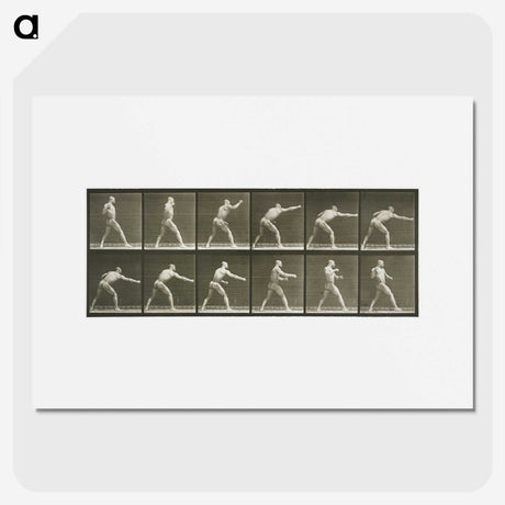 2-32_Eadweard-Muybridge_picture
