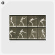 2-32_Eadweard-Muybridge_postcard