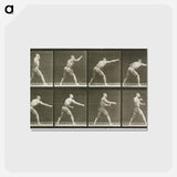アートポストカード-Striking a Blow
 - エドワード マイブリッジ Postcard.