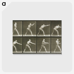 2-32_Eadweard-Muybridge_postcard