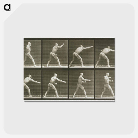 アートポストカード-Striking a Blow
 - エドワード マイブリッジ Postcard.